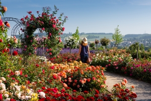 Der nostalgische Tag – Die Rosentour mit dem Schweizer Postbus & Afternoon Tea