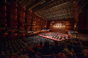 Backstage in der Alten Oper – Wenn der weiße Flieder blüht, das Konzert zum Neuen Jahr der Neuen Philharmonie Frankfurt