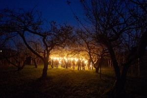 Fackelwanderung mit Apfel-Raclette – Wildromantische Obstwiesentour & geselliger Winterschmaus